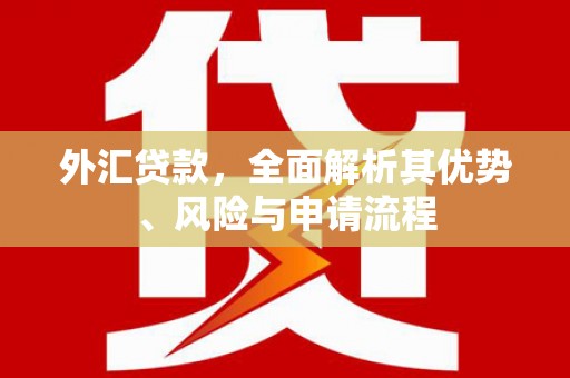 比如外汇贷款，全面解析其优势、风险与申请流程