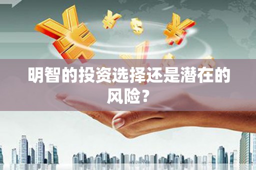 比如明智的投资选择还是潜在的风险？