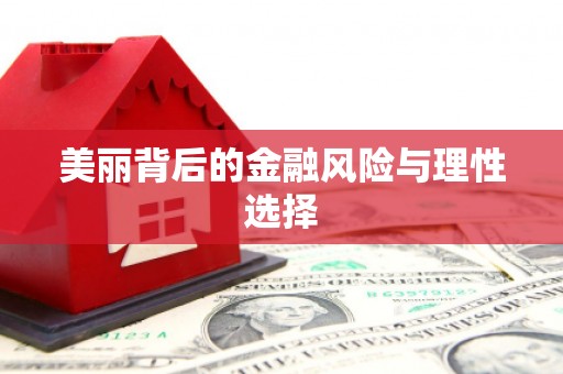 比如美丽背后的金融风险与理性选择