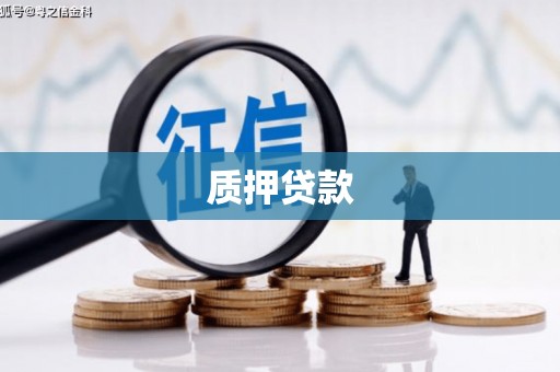 比如质押贷款