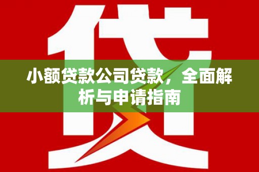 比如小额贷款公司贷款，全面解析与申请指南