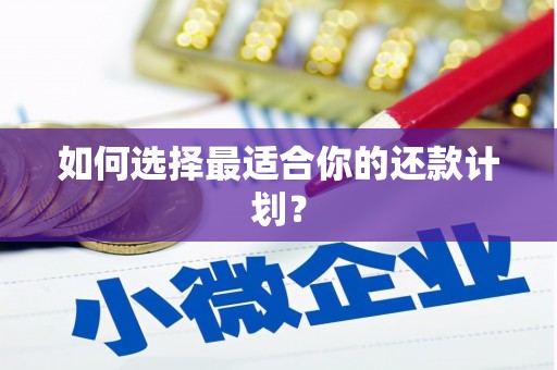 比如如何选择最适合你的还款计划？