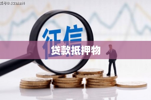 比如贷款抵押物