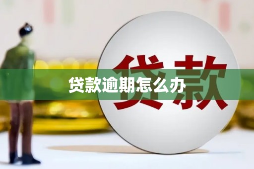 比如贷款逾期怎么办