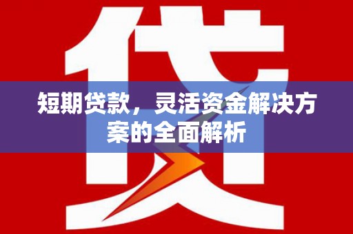 比如短期贷款，灵活资金解决方案的全面解析