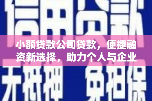 比如小额贷款公司贷款，便捷融资新选择，助力个人与企业成长