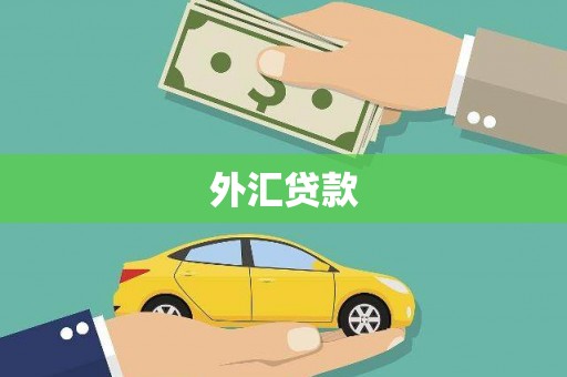 比如外汇贷款