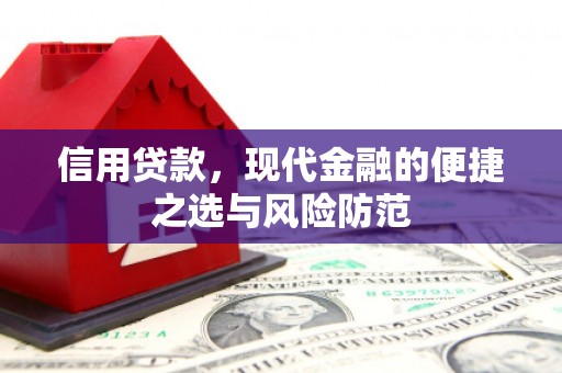 比如信用贷款，现代金融的便捷之选与风险防范