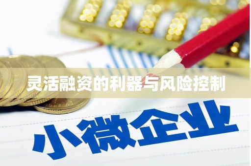 比如灵活融资的利器与风险控制