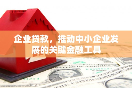 比如企业贷款，推动中小企业发展的关键金融工具
