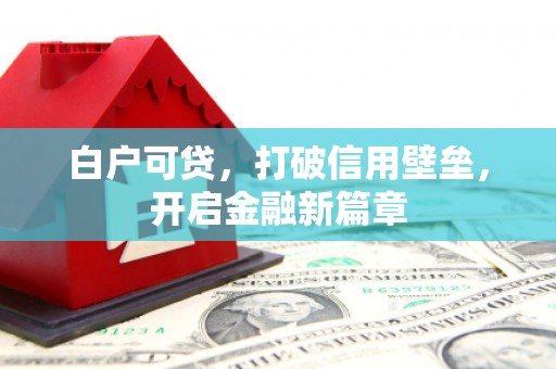 比如白户可贷，打破信用壁垒，开启金融新篇章