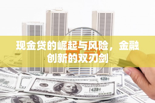 比如现金贷的崛起与风险，金融创新的双刃剑