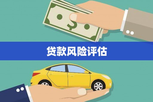 比如贷款风险评估