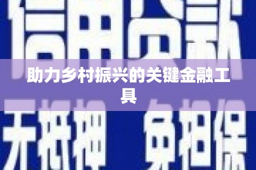 比如助力乡村振兴的关键金融工具