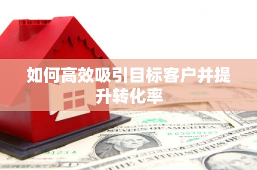 比如如何高效吸引目标客户并提升转化率
