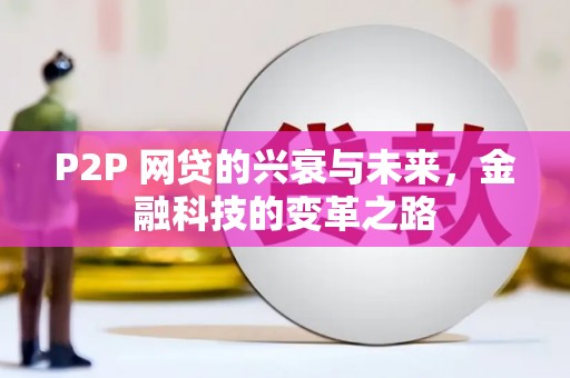 比如P2P 网贷的兴衰与未来，金融科技的变革之路