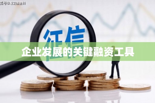 比如企业发展的关键融资工具