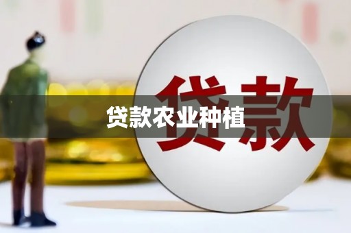 比如贷款农业种植