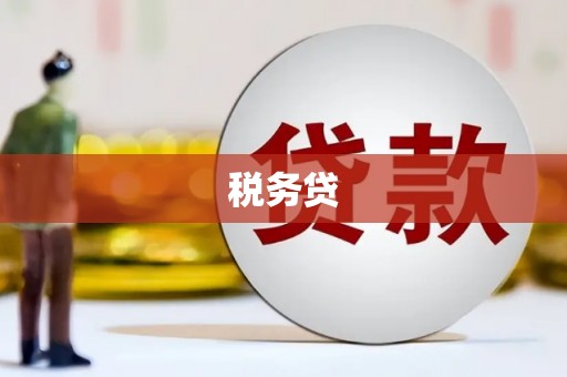 比如税务贷