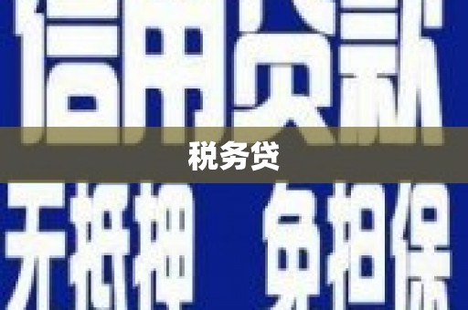 比如税务贷