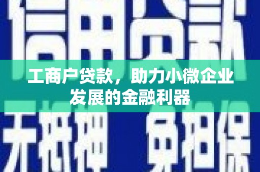 比如工商户贷款，助力小微企业发展的金融利器