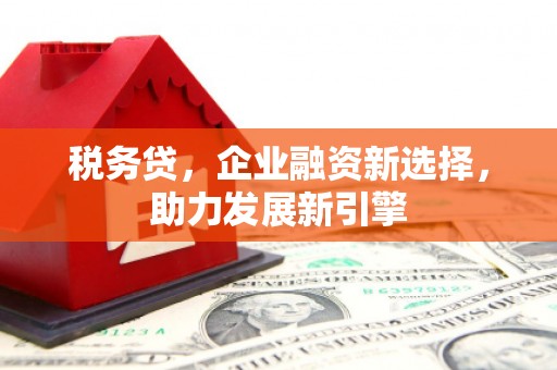 比如税务贷，企业融资新选择，助力发展新引擎