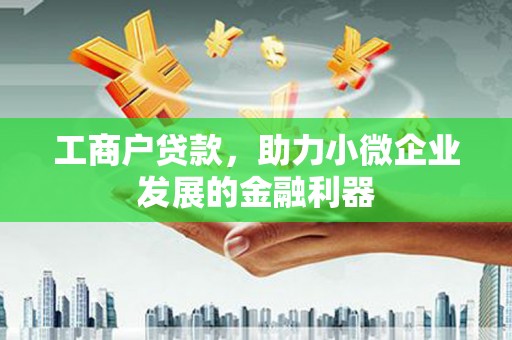 比如工商户贷款，助力小微企业发展的金融利器