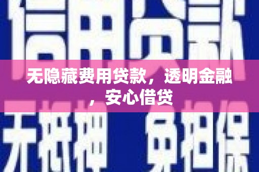 比如无隐藏费用贷款，透明金融，安心借贷