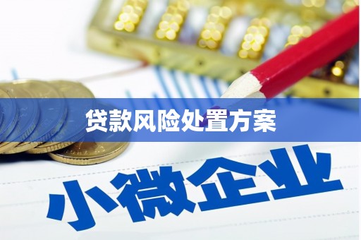 比如贷款风险处置方案