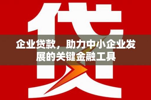 比如企业贷款，助力中小企业发展的关键金融工具