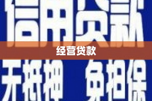 比如经营贷款