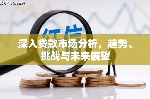 比如深入贷款市场分析，趋势、挑战与未来展望