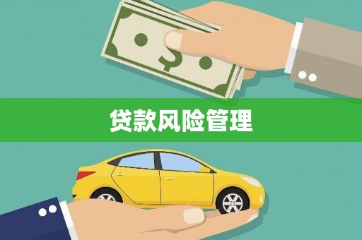比如贷款风险管理
