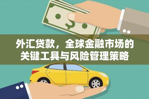 比如外汇贷款，全球金融市场的关键工具与风险管理策略