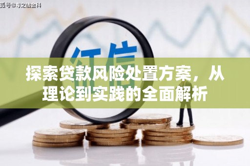 比如探索贷款风险处置方案，从理论到实践的全面解析
