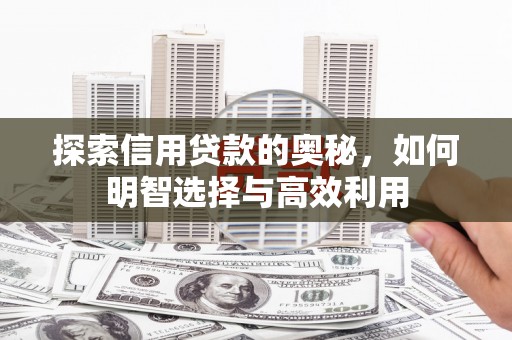 比如探索信用贷款的奥秘，如何明智选择与高效利用