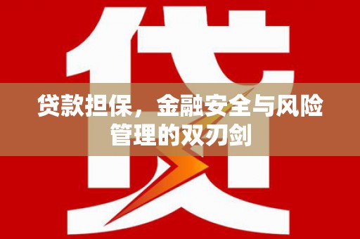 比如贷款担保，金融安全与风险管理的双刃剑