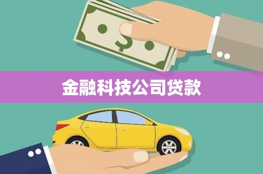 比如金融科技公司贷款