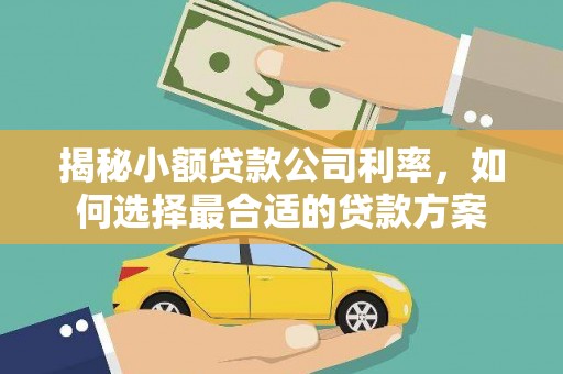比如揭秘小额贷款公司利率，如何选择最合适的贷款方案