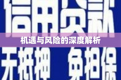 比如机遇与风险的深度解析