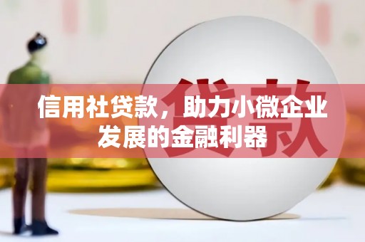 比如信用社贷款，助力小微企业发展的金融利器