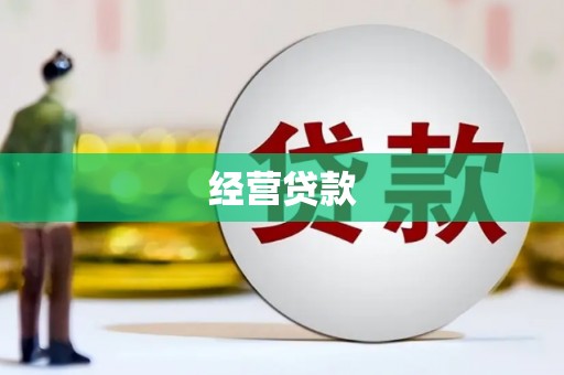 比如经营贷款