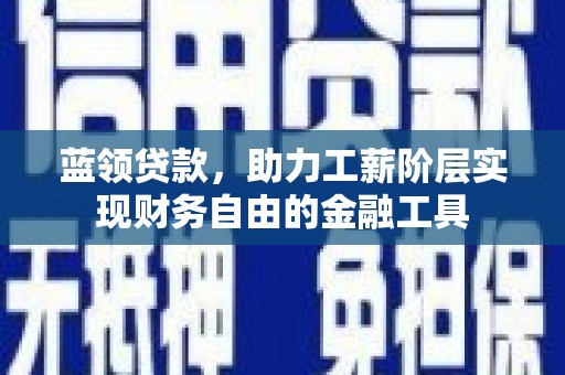 比如蓝领贷款，助力工薪阶层实现财务自由的金融工具