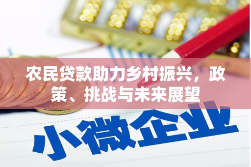 比如农民贷款助力乡村振兴，政策、挑战与未来展望