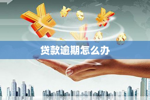 比如贷款逾期怎么办