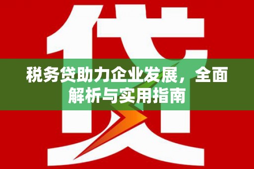 比如税务贷助力企业发展，全面解析与实用指南