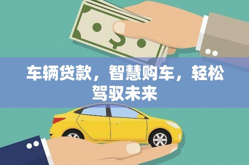 比如车辆贷款，智慧购车，轻松驾驭未来
