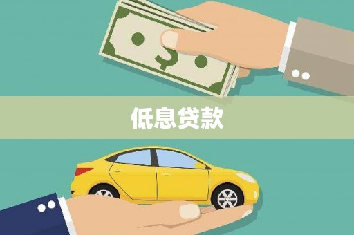 比如低息贷款