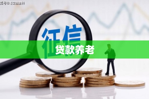 比如贷款养老