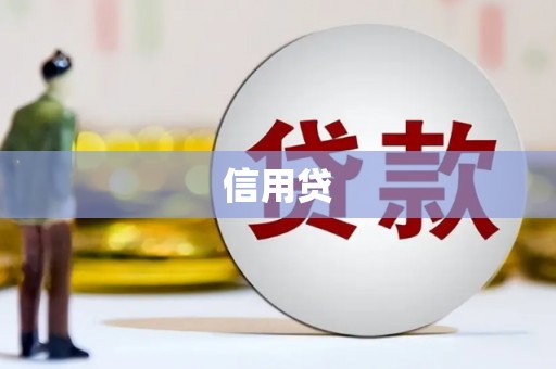 比如信用贷